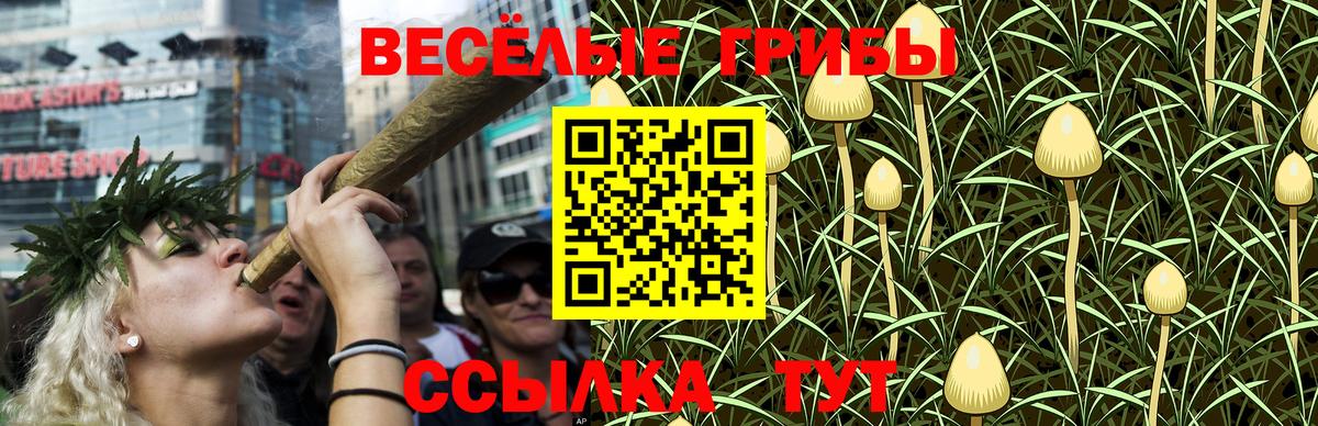 Галлюциногенные грибы Cubensis Симферополь